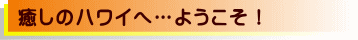 ハワイの癒しロミロミスクールへようこそ!